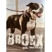 Gravirna ploščica BRONX "The BOSS" - medium